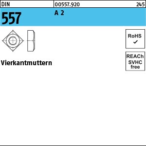 DIN 557 A 2 M 10 SW 17 A 2 S