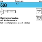 DIN 603 A 2 Flachrundschrauben mit Vierkantansatz 