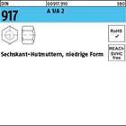 DIN 917 A 1/A 2 Sechskant-Hutmuttern, niedrige Form 