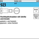 DIN 923 A 1 Flachkopfschrauben mit Schlitz und Ansatz