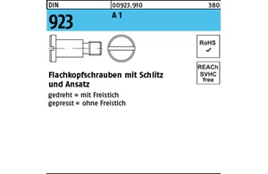 DIN 923 A 1 Flachkopfschrauben mit Schlitz und Ansatz