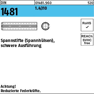DIN 1481 1.4310 1 x 4 rostfrei S