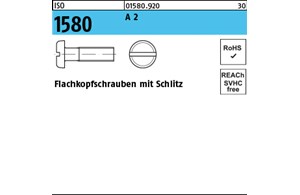 ISO 1580 A 2 Flachkopfschrauben mit Schlitz 
