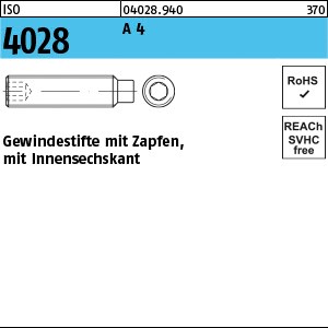 ISO 4028 A 4 M 4 x 6 A 4 S