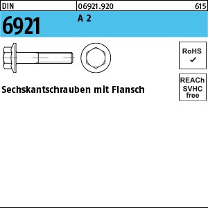 DIN 6921 A 2 M 6 x 12 S