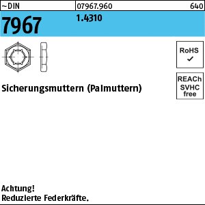 DIN 7967 1.4310 M 6 rostfrei S