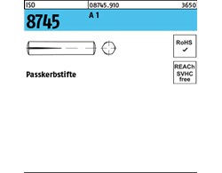 ISO 8745 A 1 Passkerbstifte 
