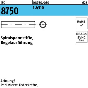 ISO 8750 1.4310 1 x 6 rostfrei S