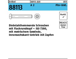 Artikel 88113 A 2 Pin-I6kt. Diebstahlhemmende Schrauben m. Flachkopf ~ ISO 7380,