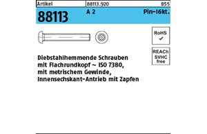 Artikel 88113 A 2 Pin-I6kt. Diebstahlhemmende Schrauben m. Flachkopf ~ ISO 7380,