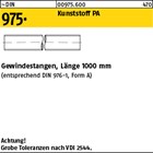 ~DIN 975 Kunststoff PA Gewindestangen, Länge 1000 mm 