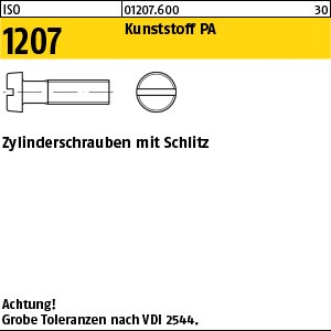 ISO 1207 Kunstst. M 2,5 x 6 Polyamid Kunstst S