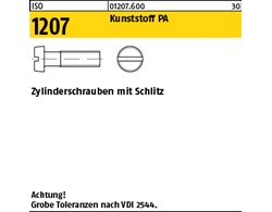 ISO 1207 Kunststoff PA Zylinderschrauben mit Schlitz 
