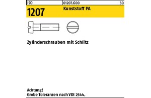 ISO 1207 Kunststoff PA Zylinderschrauben mit Schlitz 