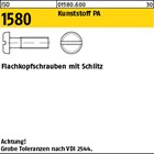 ISO 1580 Kunststoff PA Flachkopfschrauben mit Schlitz 
