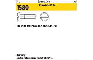 ISO 1580 Kunststoff PA Flachkopfschrauben mit Schlitz 