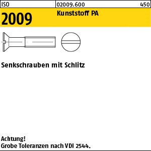 ISO 2009 Kunstst. M 3 x 6 Polyamid Kunstst S