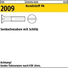 ISO 2009 Kunststoff PA Senkschrauben mit Schlitz 