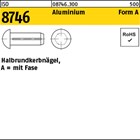 ISO 8746 Aluminium Form A Halbrundkerbnägel, mit Fase 