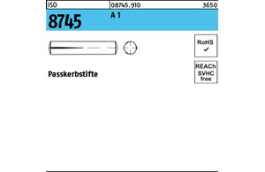 ISO 8745 A 1 Passkerbstifte 